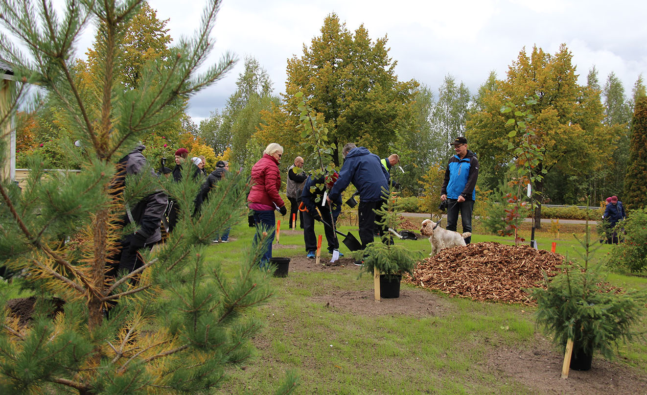 People planting trees.